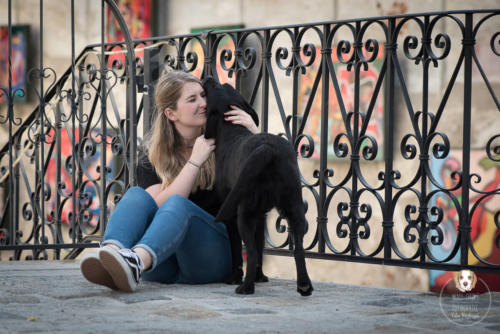 Hundefotografie mit Wau-Effekt