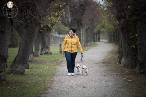 Hundefotografie mit Wau-Effekt