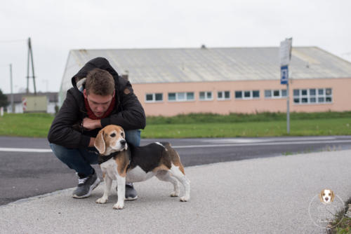 Hundefotografie mit Wau-Effekt